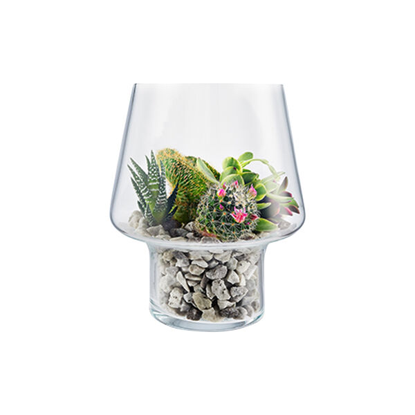 Sukkulenten Vase, transparent, Eva Solo