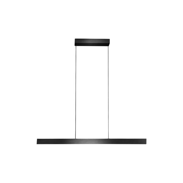 EDGE LINEAR S1000 Pendant, carbon black, LIGHT-POINT