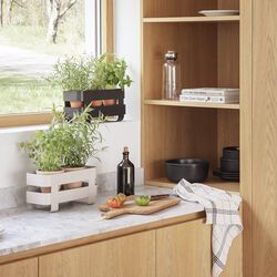 Self-watering herb organiser, sand, Eva Solo