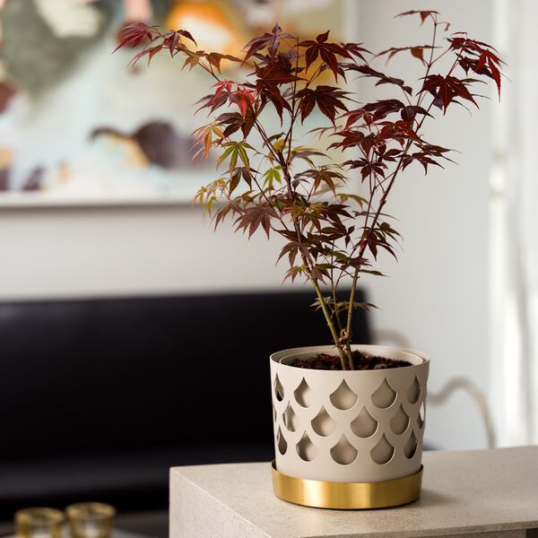 Trio Drop Flowerpot Medium, Klong