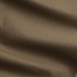 Theo 1420, shitake, NN.07