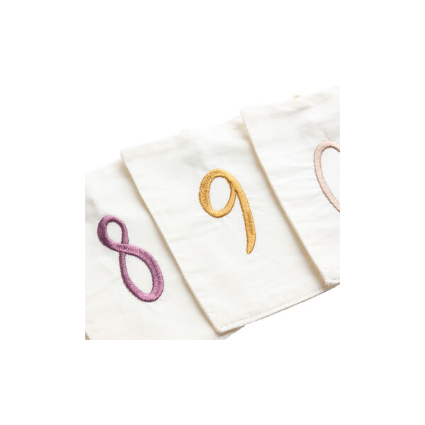 Birthday Gift Bunting, Sebra