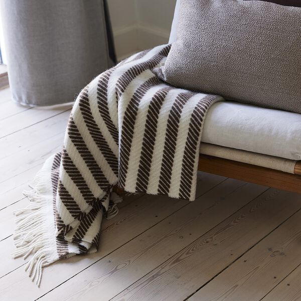 Calm plaid, Compliments