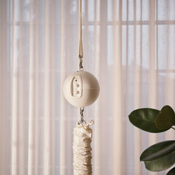 Moonboon Motor Connect, Moonboon