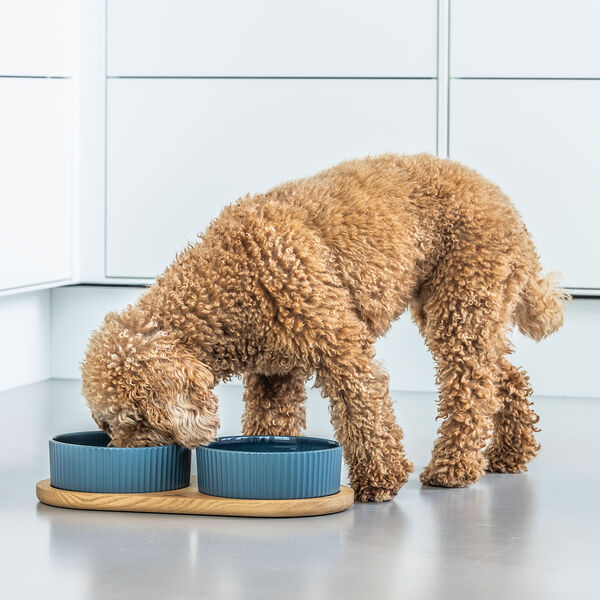 Kronborg Food Bar, petrol blue, DOG Copenhagen