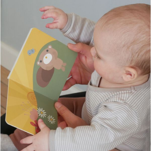 Teddy's Book, multi colour, Franck & Fischer