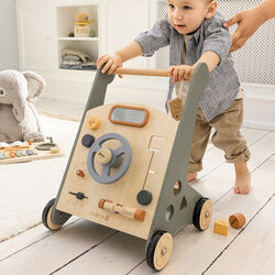 Car Activity Walker, Sebra