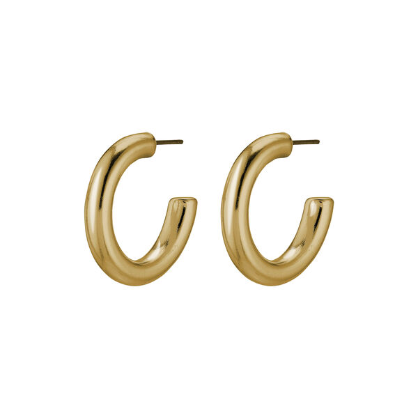 Dolag Earrings, gold, Pilgrim