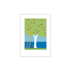 Apples Being Picked, Poster & Frame