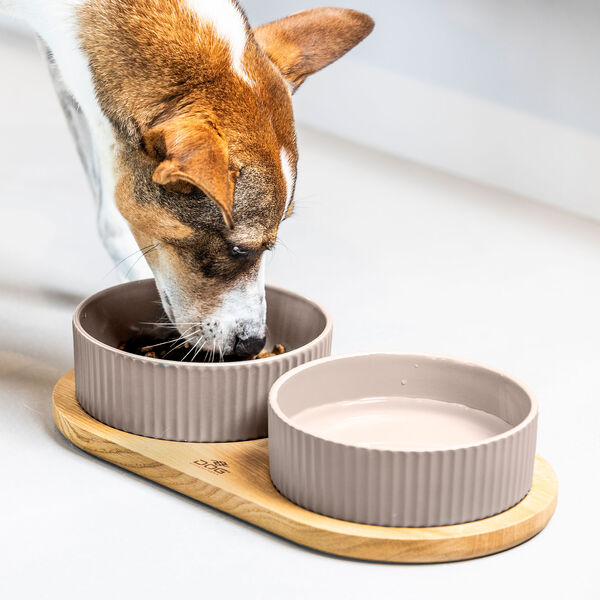 Kronborg Food Bar, caffe latte, DOG Copenhagen