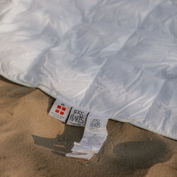 Sommerdecke, Fossflakes