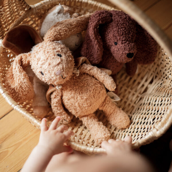 The Listening Rabbit with Cape, Sleeping Hero