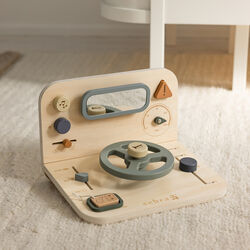 Car Activity Panel, Sebra