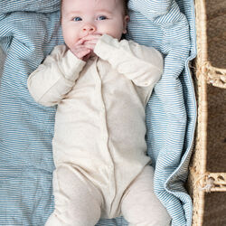 Baby Suit, shell, Serendipity