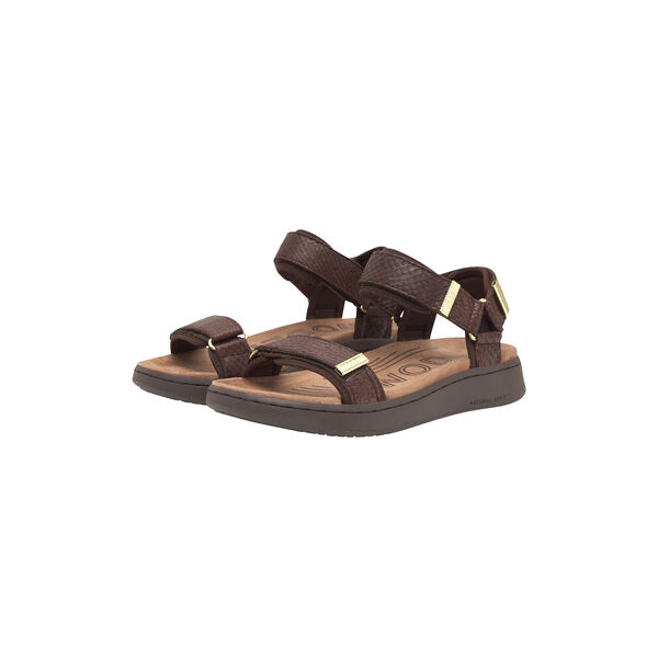 Line Fish, chocolate, WODEN