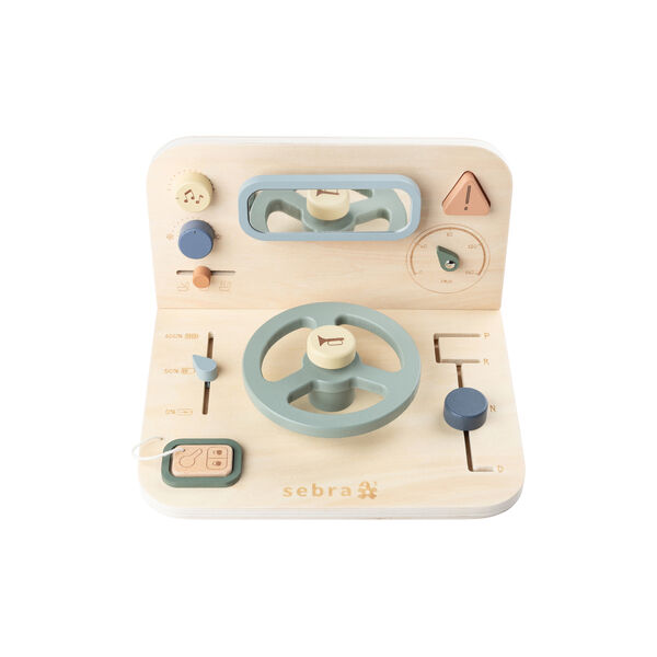 Car Activity Panel, Sebra