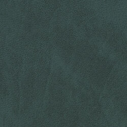 Nupo table mat Circle L, dark green, LIND DNA