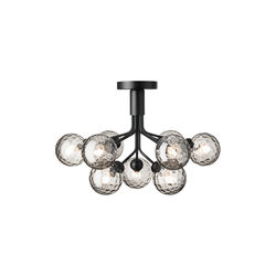 Apiales 9 Ceiling Lamp, satin black/optic smoked, Nuura