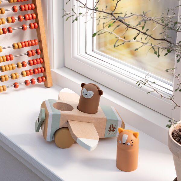 Wildlife Airplane, Sebra