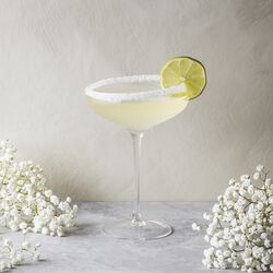 Champagner Coupe, Eva Solo