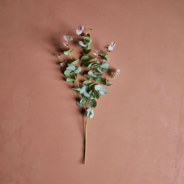 HDEucalyptus Artificial branch, House Doctor