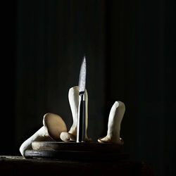 Kräutermesser, Gastrotools