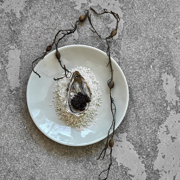 HDDiva Mittagsteller &Oslash; 22,5 cm, hellblau, House Doctor