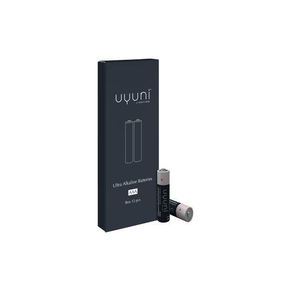 AAA-Batterien, 1,5 V, 1000 mAh, 12 St&uuml;ck, Uyuni Lighting
