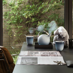 HAV Thermotasse, Royal Copenhagen