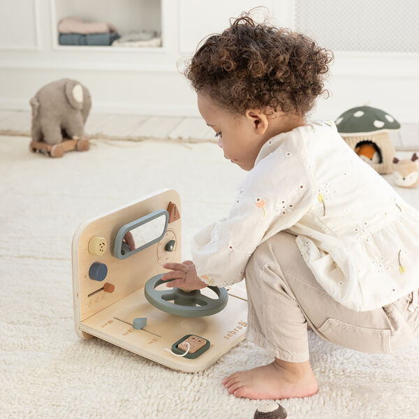 Car Activity Panel, Sebra