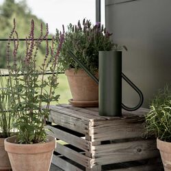 Bloom Blumengie&szlig;kanne, pine, Stelton