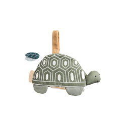 Turbo the Turtle Activity Book, Sebra