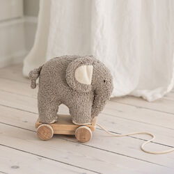 Fanto Pull-along Toy, grey, Sebra