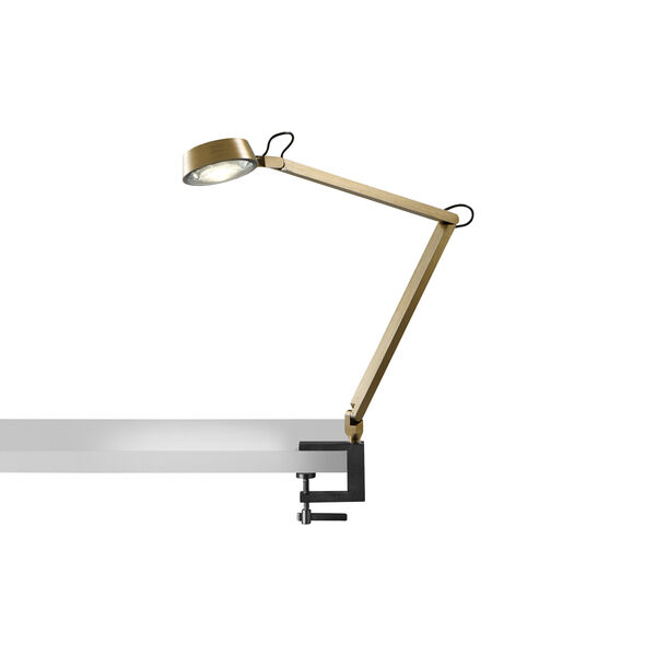DARK T1 Table Lamp, brass, LIGHT-POINT