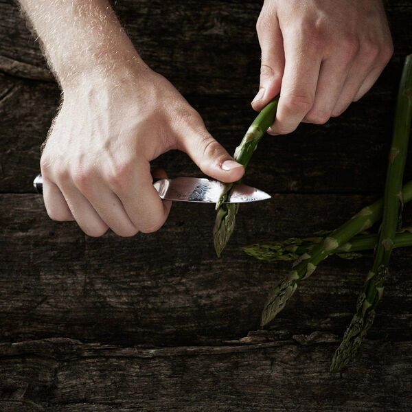 Kr&auml;utermesser, Gastrotools