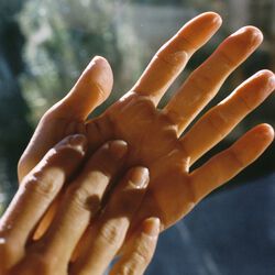 No. 244 Hand Cream, elder, L:a Bruket