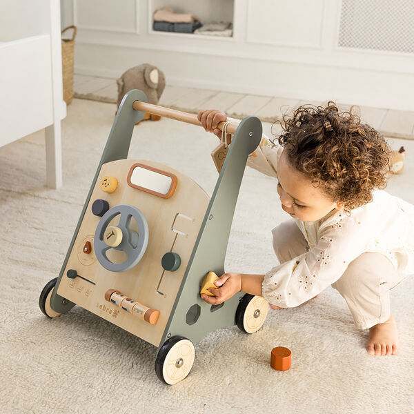 Car Activity Walker, Sebra