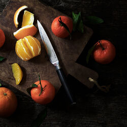 Mehrzweckmesser, Gastrotools