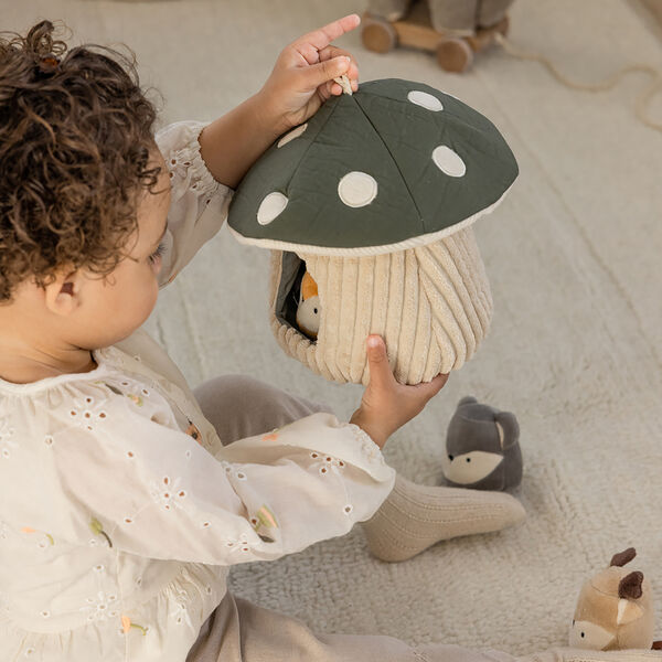 Hide & Seek Mushroom Activity Toy, Sebra