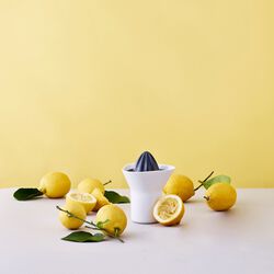 Zitruspresse, white/grey, RIG-TIG