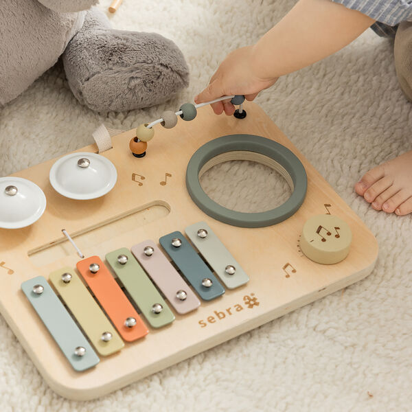 Music Activity Panel, Sebra