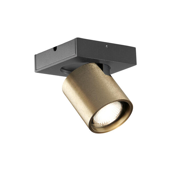 FOCUS MINI 1 Ceiling Spotlight, brass, LIGHT-POINT