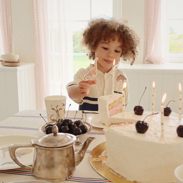 Geburtstagsset, dino, Konges Sl&oslash;jd