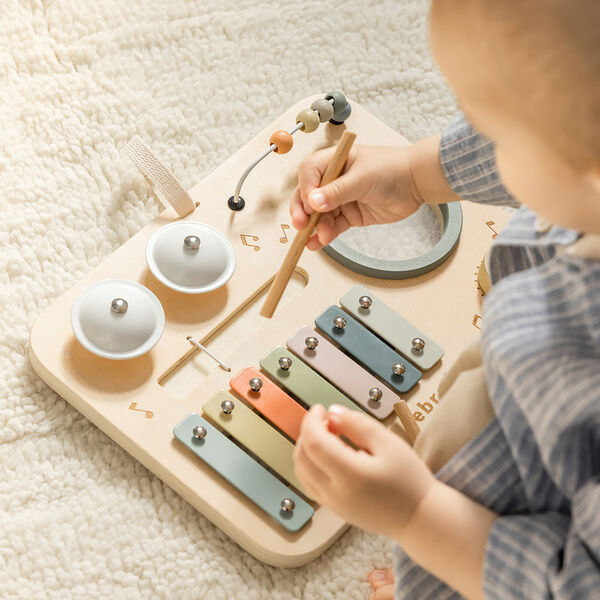 Music Activity Panel, Sebra