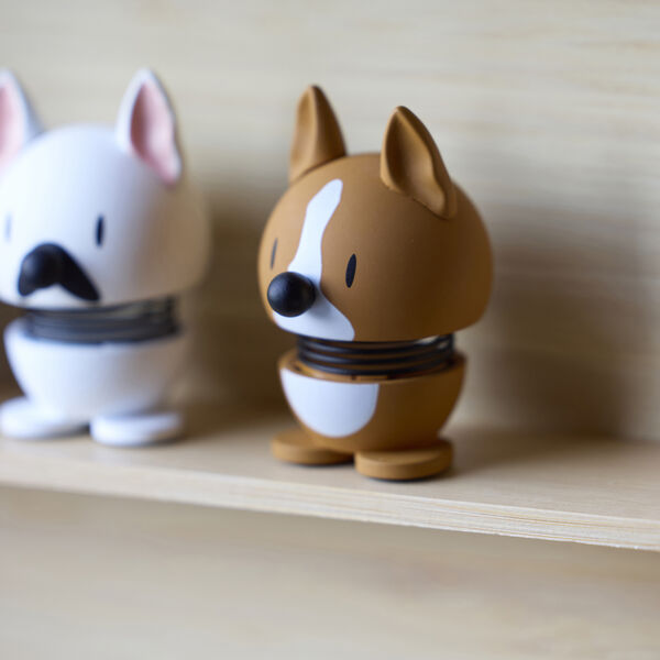 Corgi, brown, Hoptimist