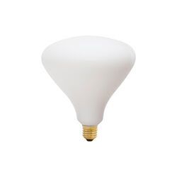 Noma Glühbirne, Tala