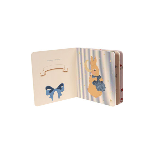 Fühl- und Tastbuch, Konges Sløjd