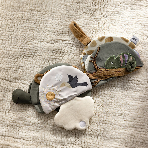 Turbo the Turtle Activity Book, Sebra