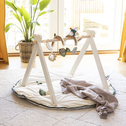 Baby Gym, wood, Sebra