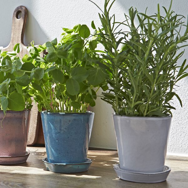 Anzuchttopf, weiß, Knabstrup Keramik